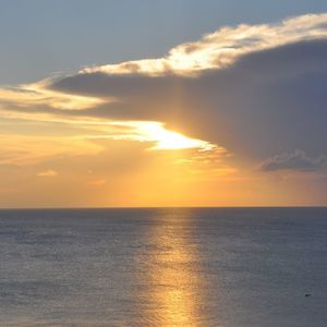 Meet your Posher, Rodney